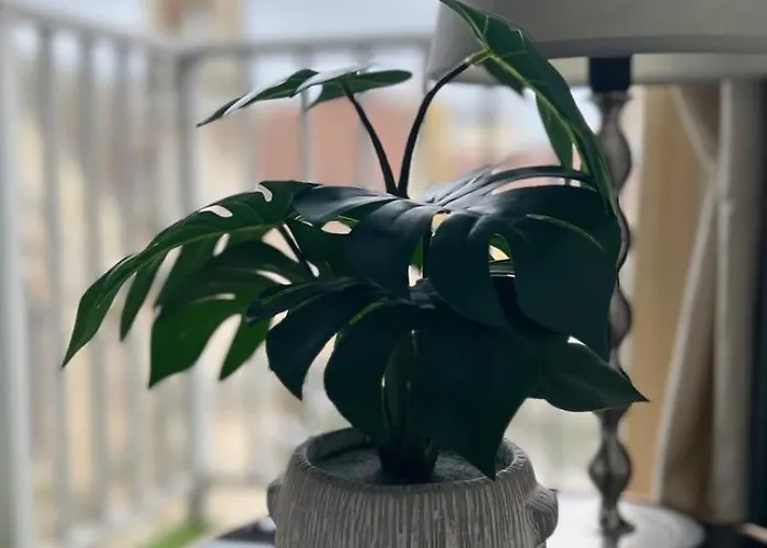 Trocadero 16 Апартаменты